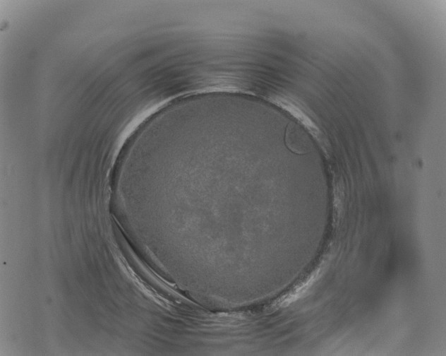 X0000074290933200609011403