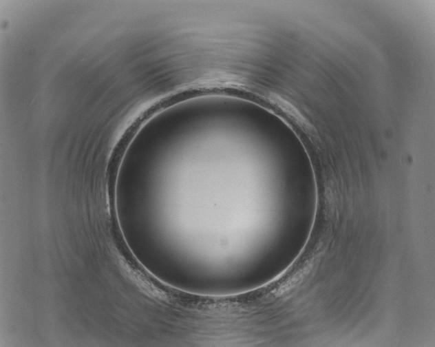 X0000074290934200609011403