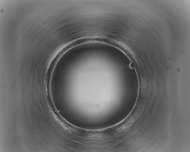 X0000074290935200609011403