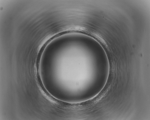 X0000074290936200609011403