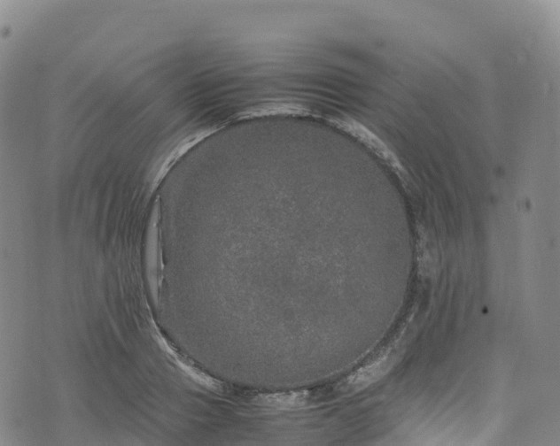 X0000074290937200609011403