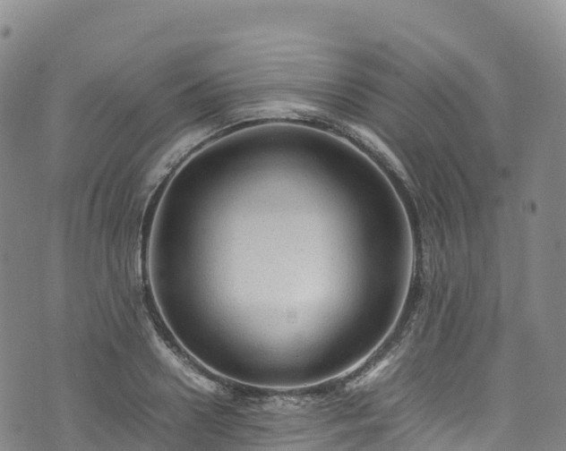 X0000074290938200609011403