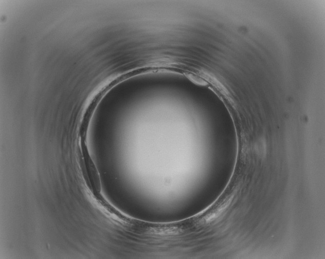 X0000074290939200609011403