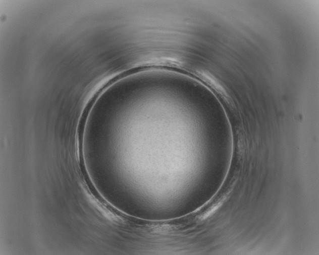 X0000074290940200609011403