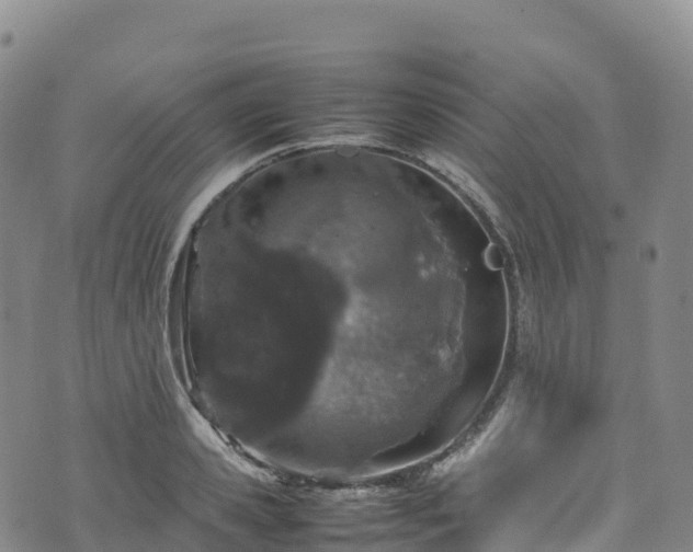 X0000074290941200609011403