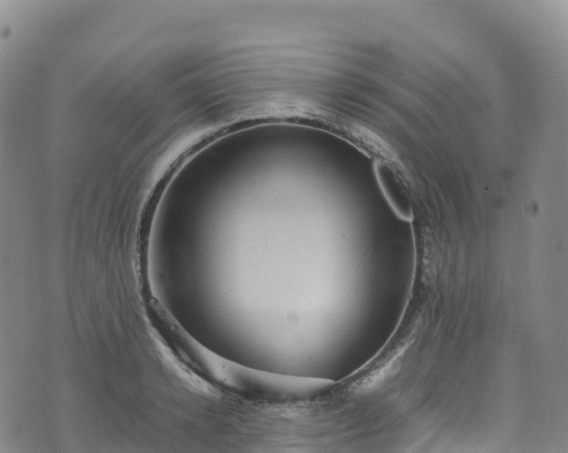 X0000074290942200609011403