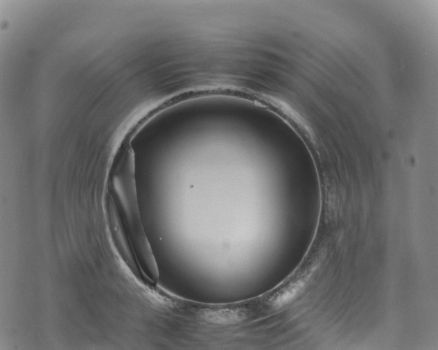 X0000074290943200609011403