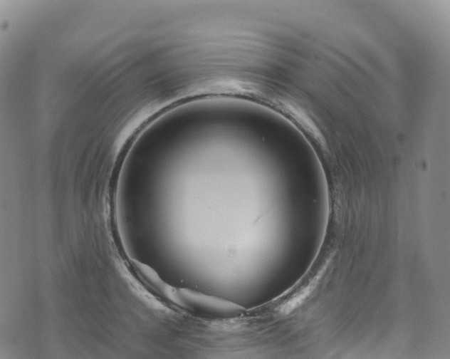 X0000074290944200609011403