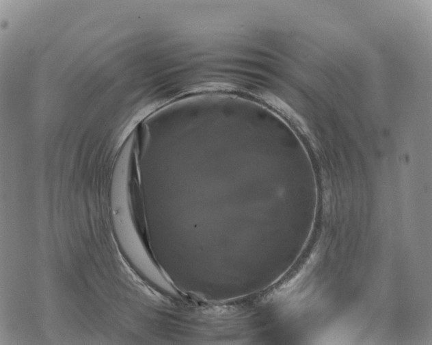 X0000074290945200609011403