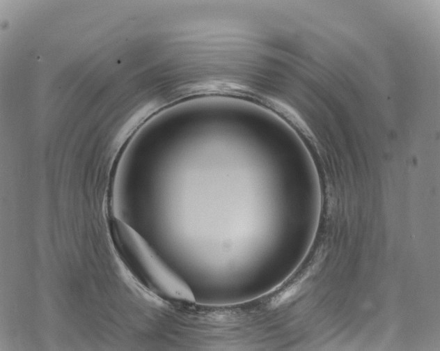 X0000074290946200609011403