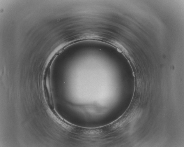 X0000074290947200609011403