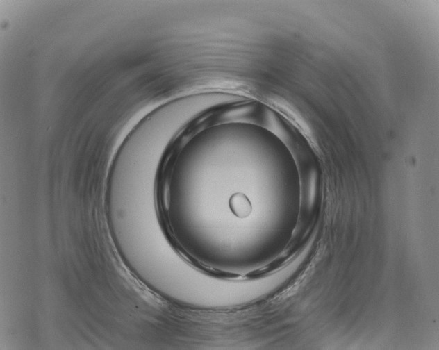 X0000074290948200609011403