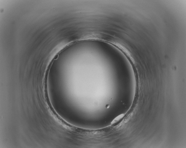 X0000074290949200609011403