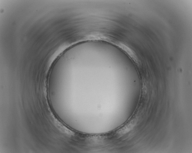 X0000074290950200609011404