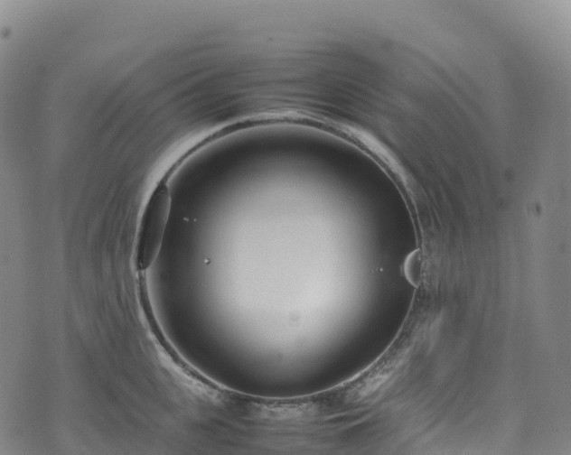 X0000074290951200609011404