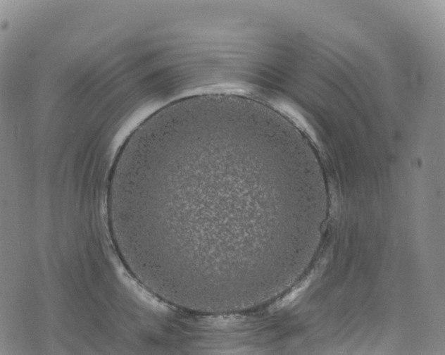 X0000074290952200609011404