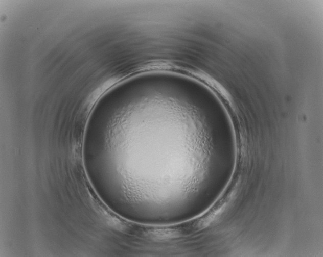 X0000074290953200609011404