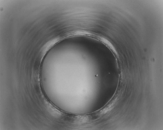 X0000074290954200609011404