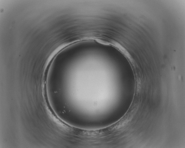 X0000074290955200609011404