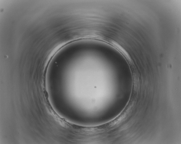 X0000074290956200609011404