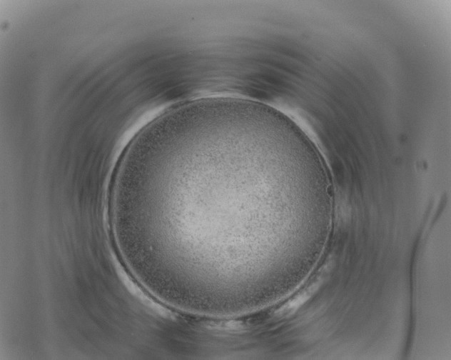 X0000074290957200609011404