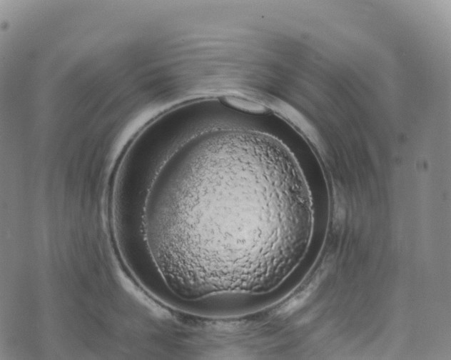 X0000074290958200609011404