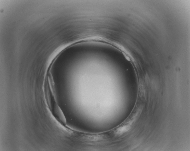 X0000074290959200609011404