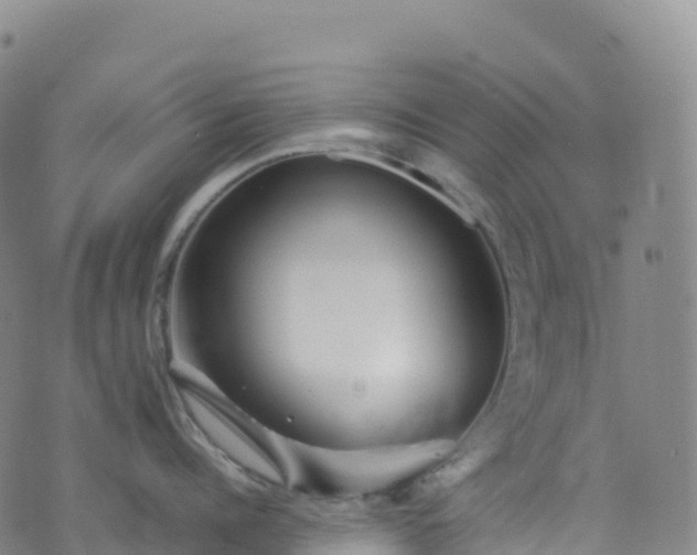 X0000074290960200609011404