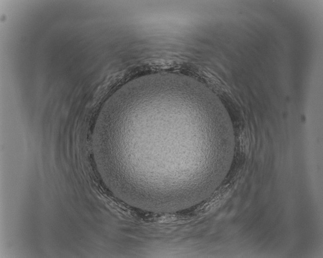 X0000074290961200609011403