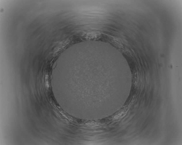 X0000074290962200609011403