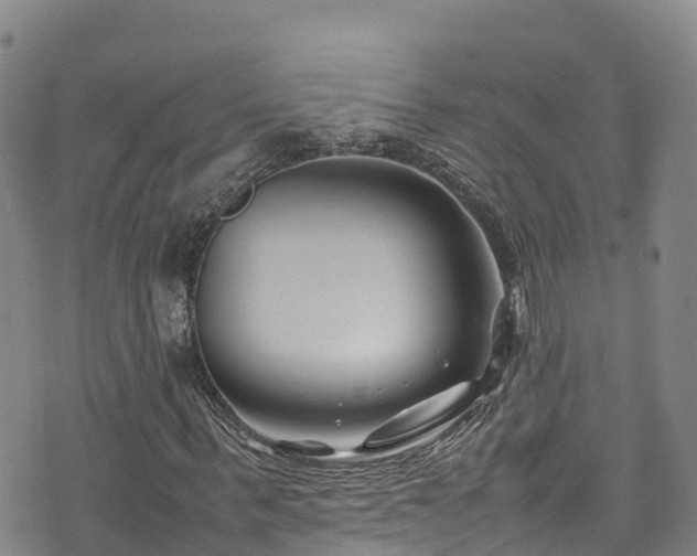 X0000074290963200609011403