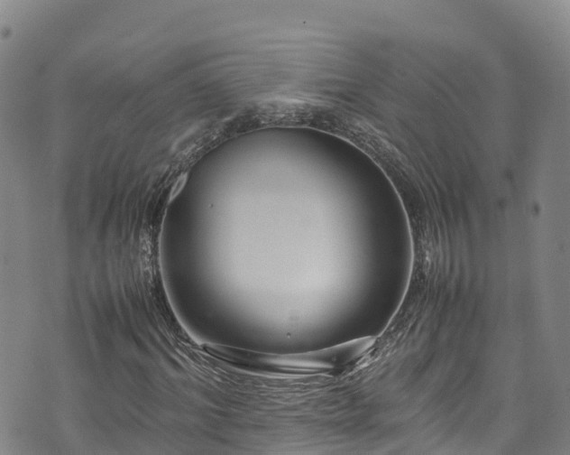 X0000074290964200609011403