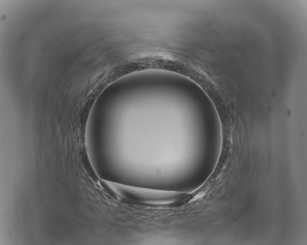 X0000074290965200609011403