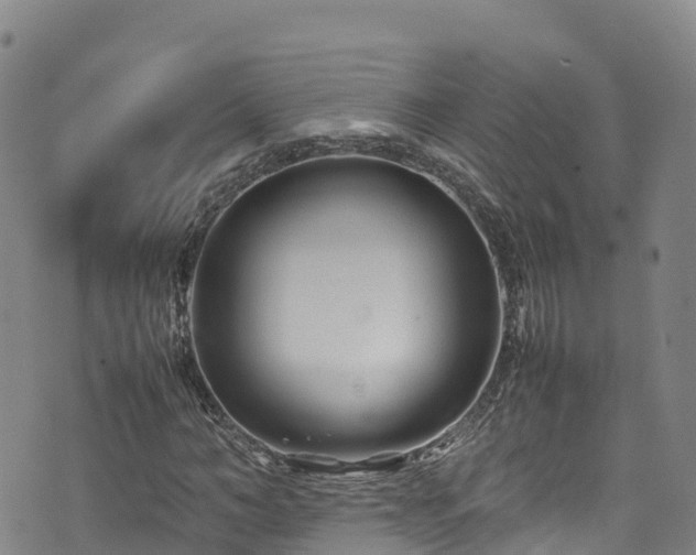 X0000074290966200609011403