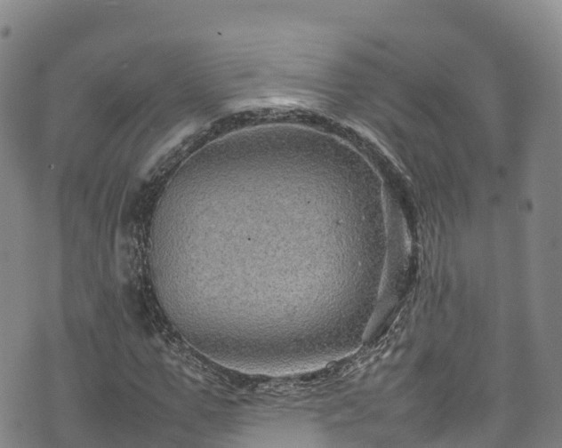 X0000074290967200609011403