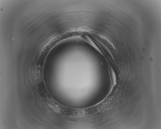 X0000074290968200609011403