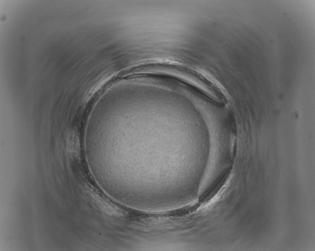 X0000074290969200609011403