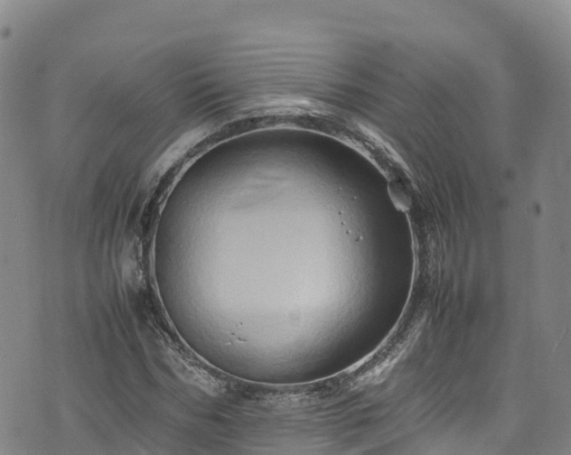 X0000074290970200609011403