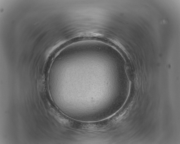 X0000074290971200609011403