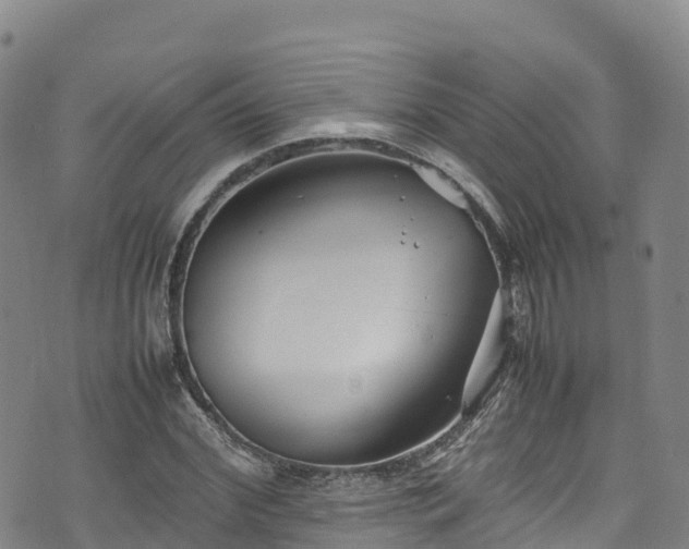 X0000074290972200609011403