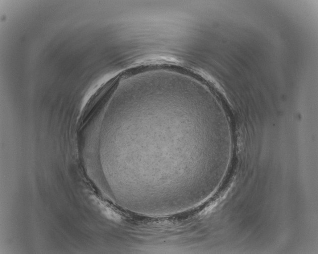 X0000074290973200609011403