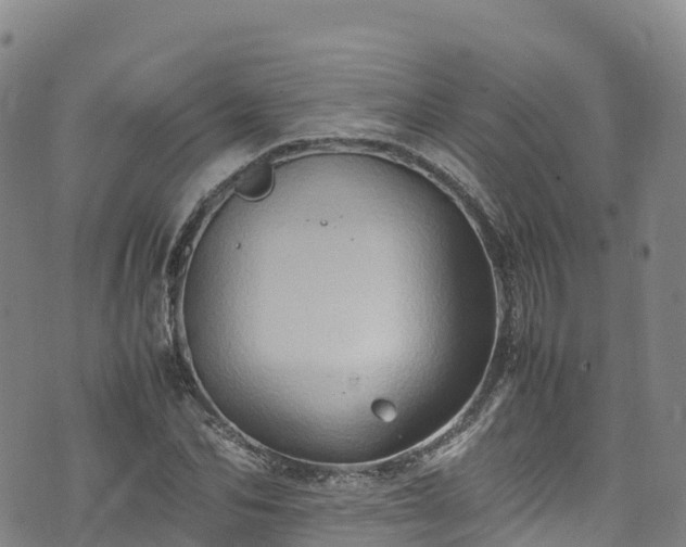 X0000074290974200609011403