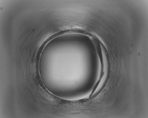 X0000074290975200609011403