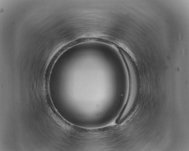 X0000074290976200609011403