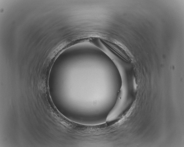 X0000074290977200609011403