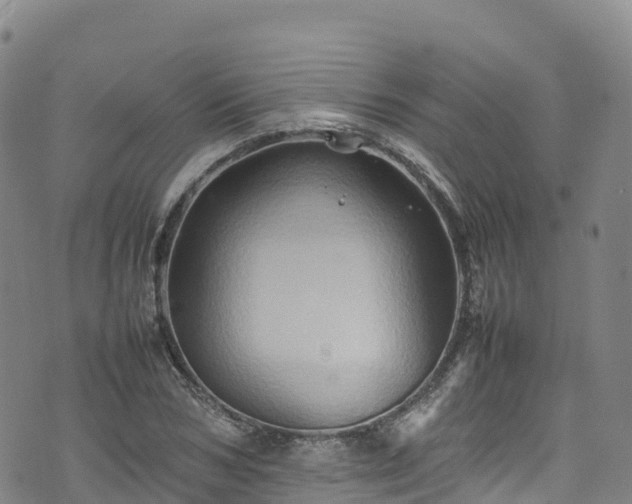 X0000074290978200609011403