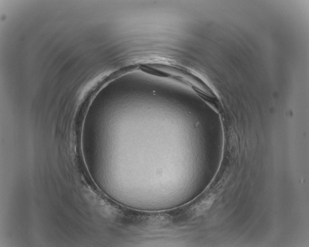 X0000074290979200609011403