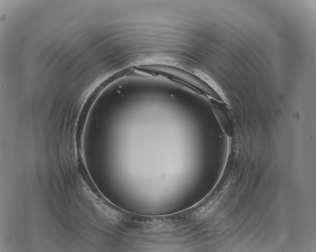 X0000074290980200609011403