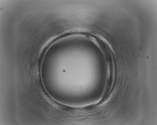 X0000074290981200609011403