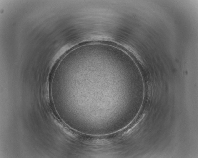 X0000074290982200609011403